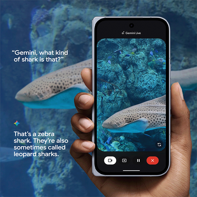 A person uses Gemini Live by pointing their Google Pixel 10 phone at an aquarium and asking a question.