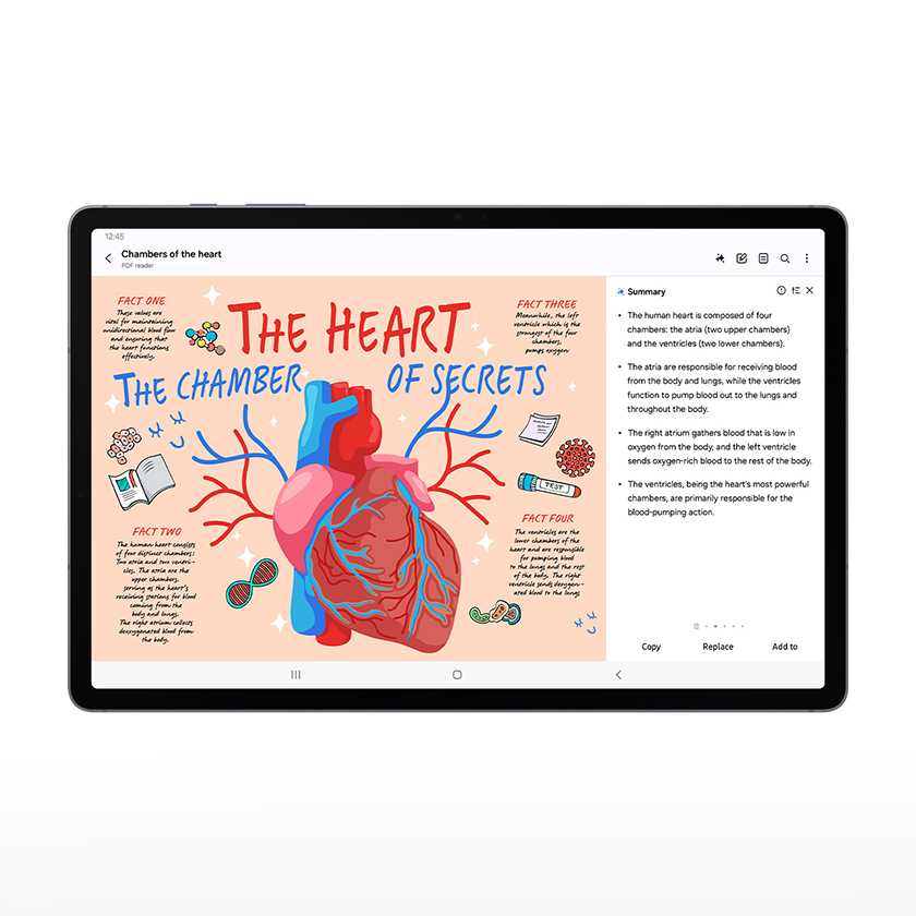 Galaxy Tab S10+ 5G screen showing an anatomy lesson.